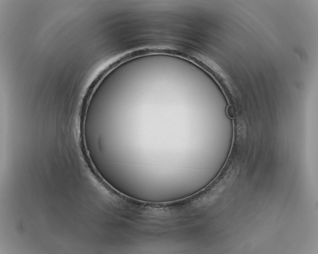 X0000113030935200909101855