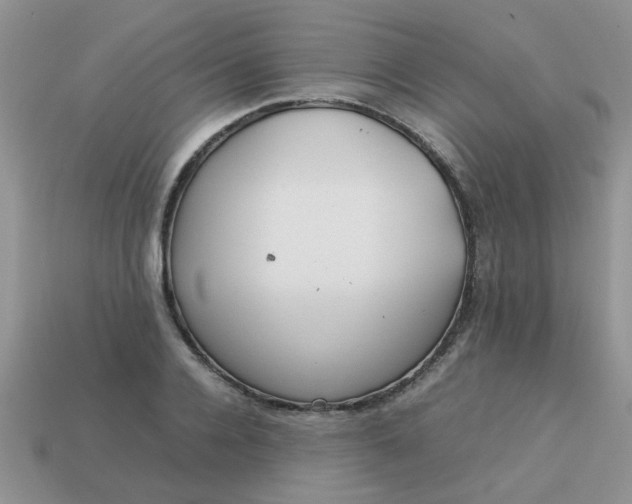 X0000113030936200909101855