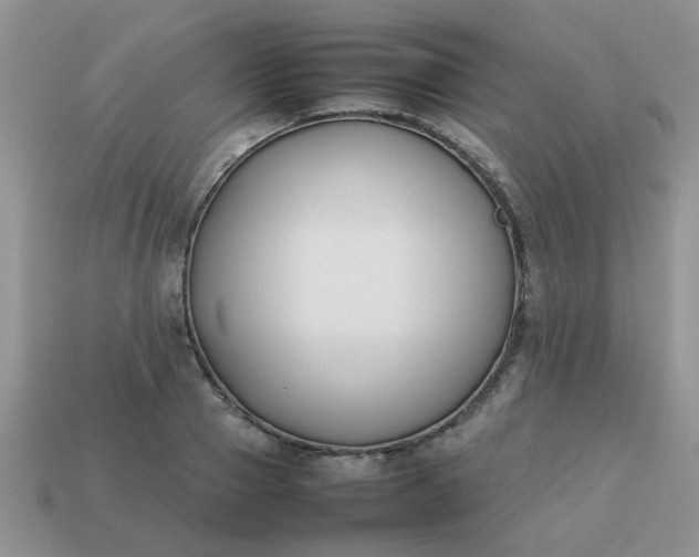 X0000113030937200909101855