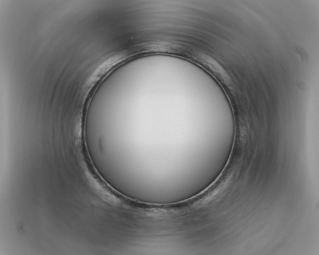 X0000113030938200909101855