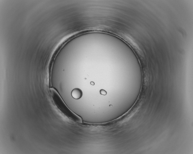 X0000113030940200909101855