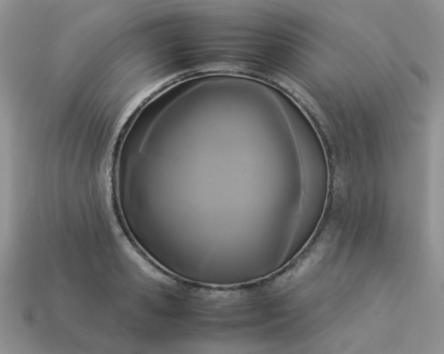 X0000113030941200909101855