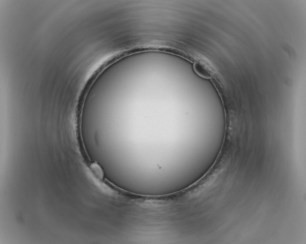 X0000113030942200909101855