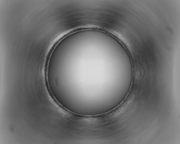 X0000113030943200909101855