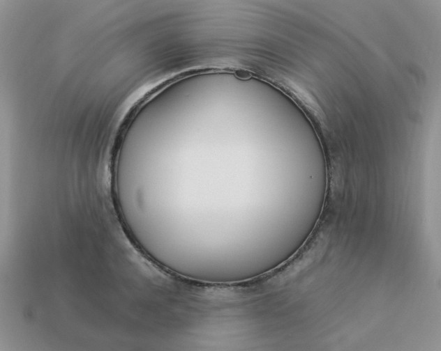 X0000113030944200909101855