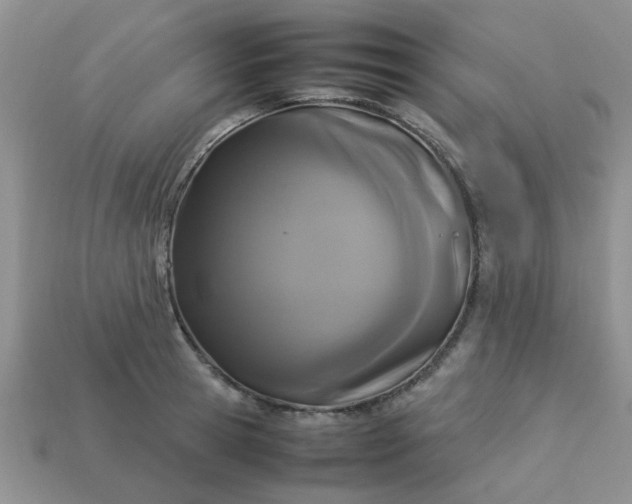 X0000113030945200909101855