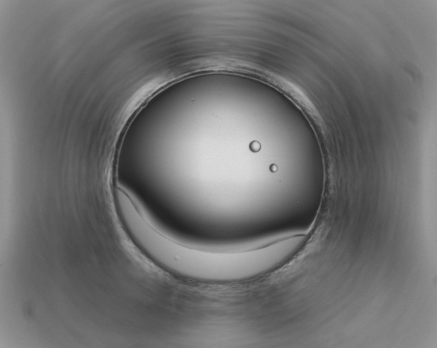 X0000113030946200909101855