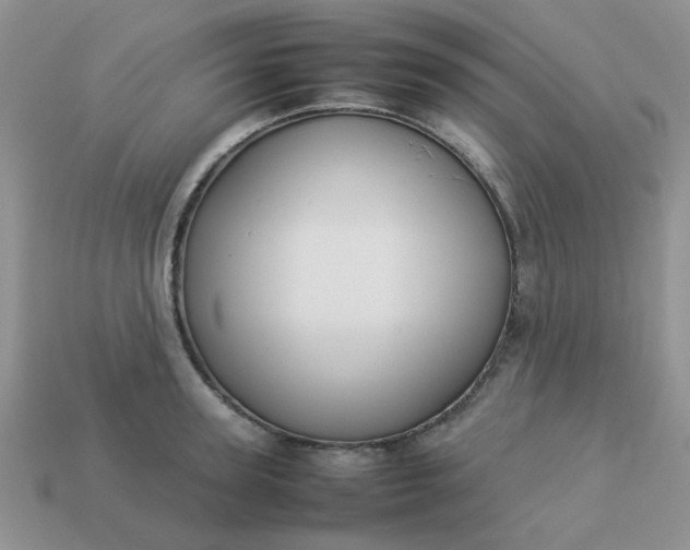 X0000113030947200909101855