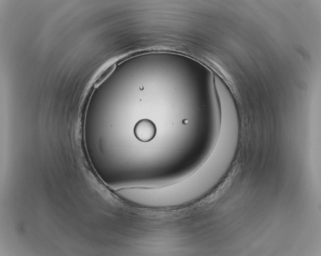 X0000113030948200909101855