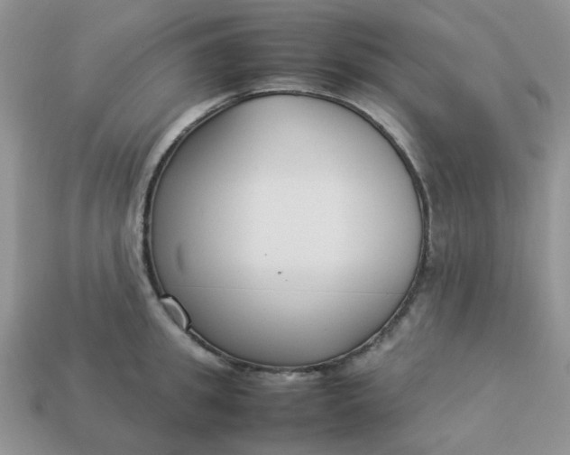 X0000113030949200909101855