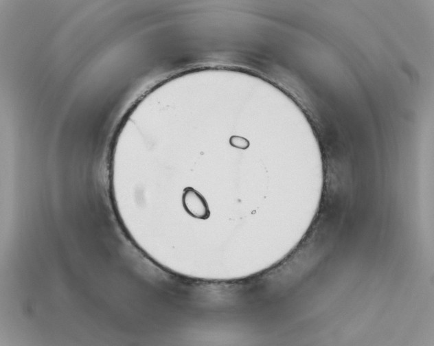 X0000113030950200909101855