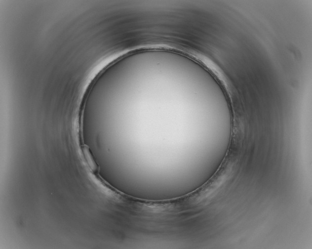 X0000113030951200909101855