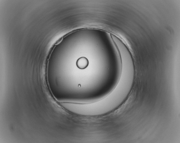 X0000113030952200909101855