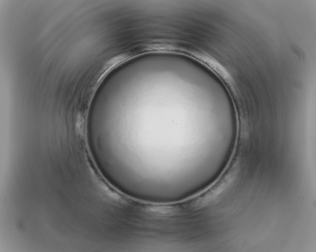 X0000113030953200909101855