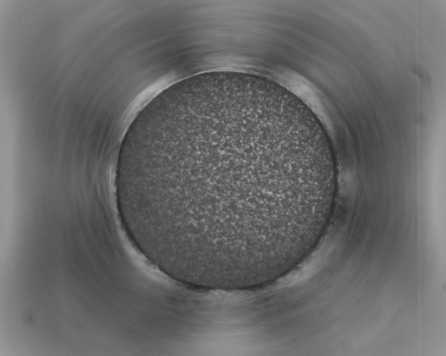 X0000113030954200909101855