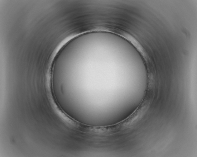 X0000113030955200909101855