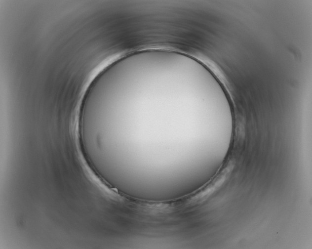 X0000113030957200909101855