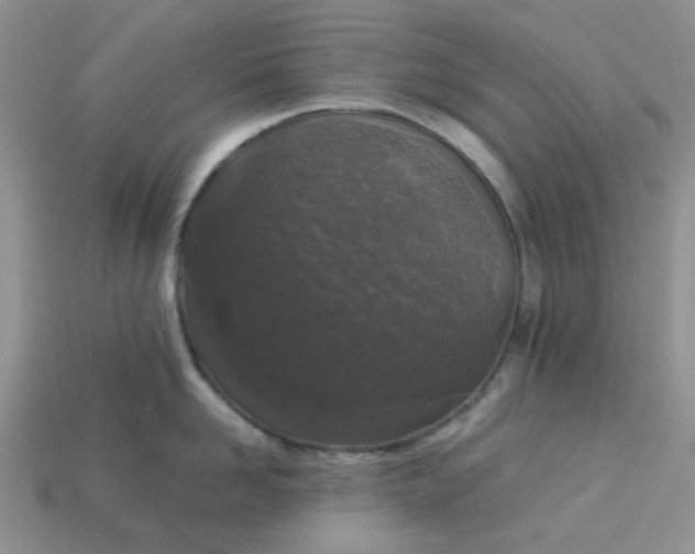 X0000113030958200909101855