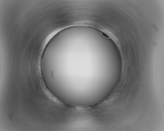 X0000113030960200909101855