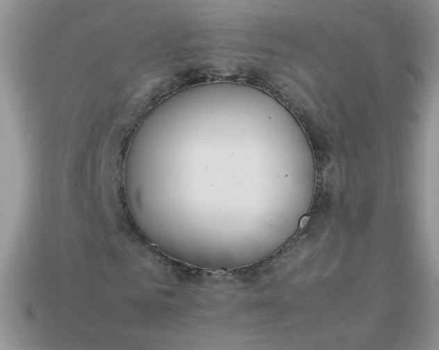 X0000113030961200909101855