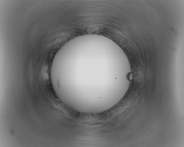 X0000113030962200909101855