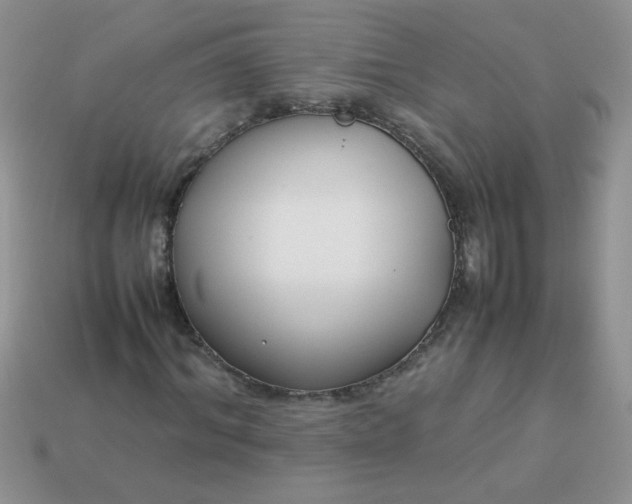 X0000113030964200909101855