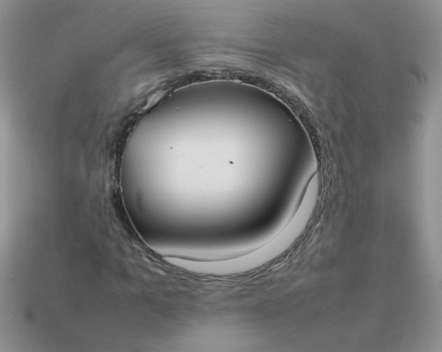 X0000113030965200909101855