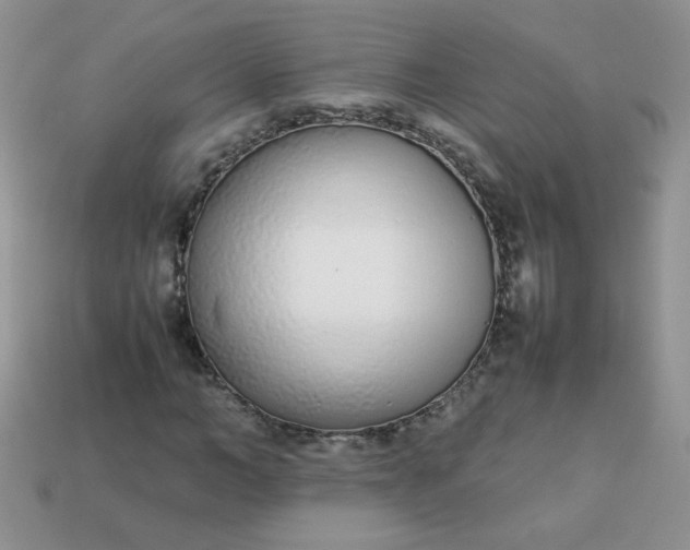 X0000113030966200909101855