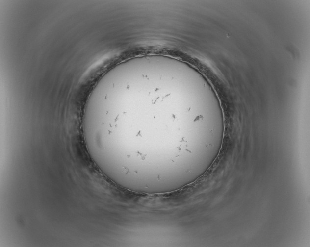 X0000113030967200909101855