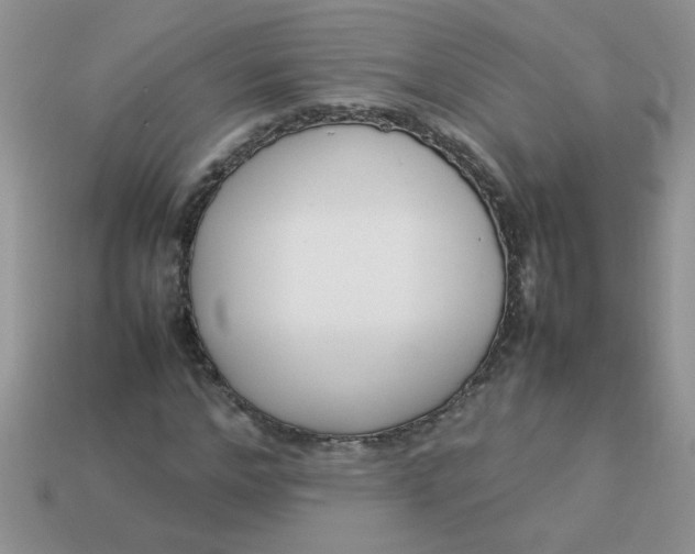 X0000113030968200909101855