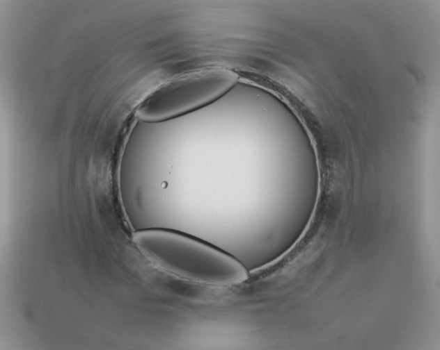 X0000113030969200909101855