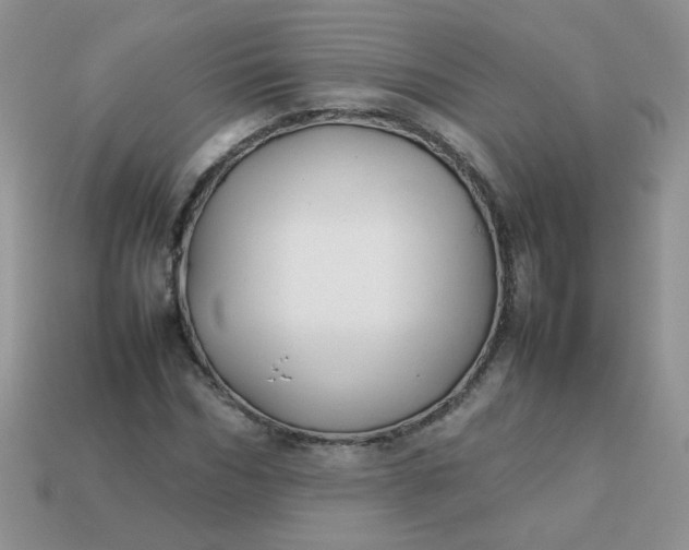 X0000113030970200909101854