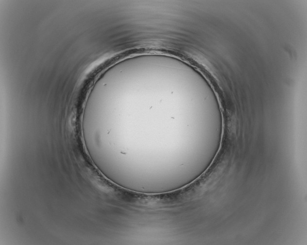 X0000113030971200909101854