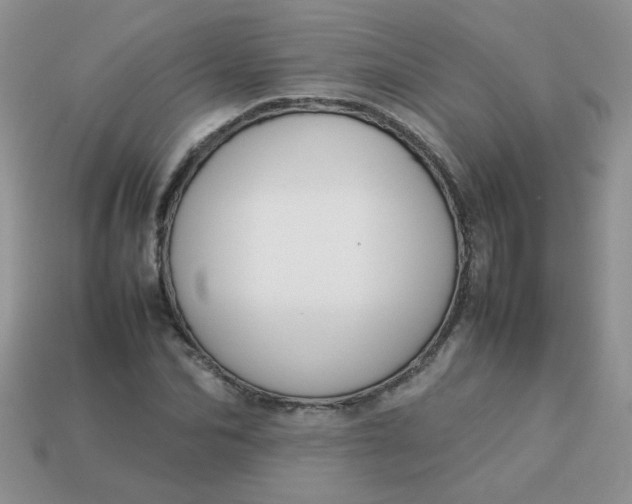 X0000113030974200909101854