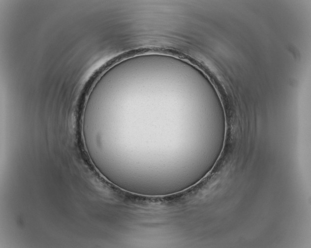 X0000113030975200909101854