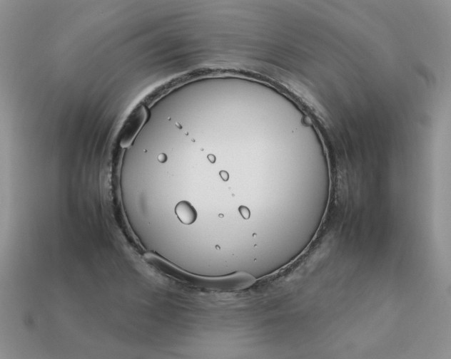 X0000113030976200909101854