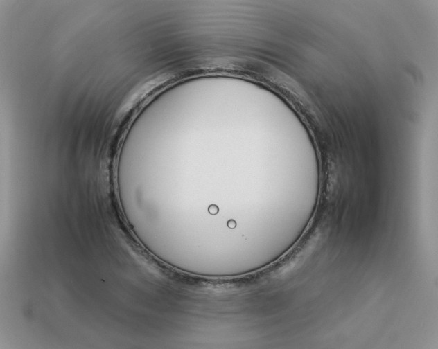 X0000113030978200909101854