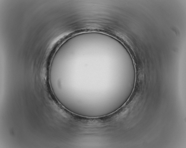 X0000113030979200909101854