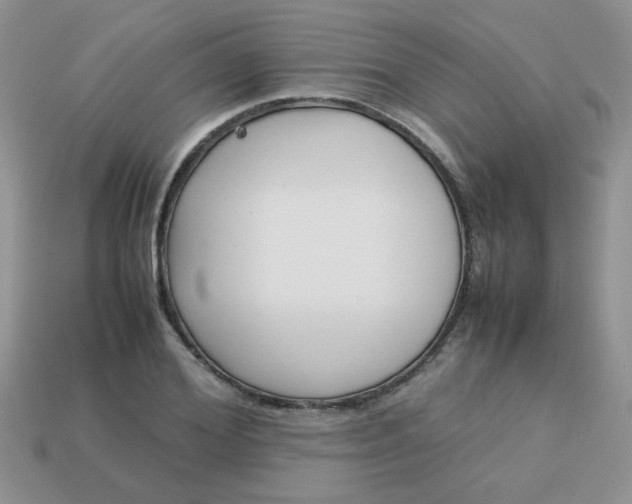 X0000113030980200909101854