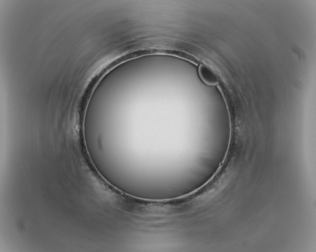 X0000113030981200909101854