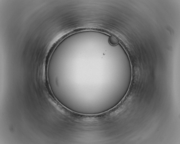 X0000113030982200909101854