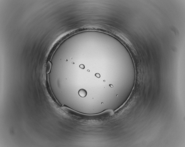 X0000113030984200909101854