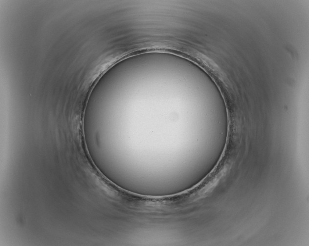 X0000113030985200909101854