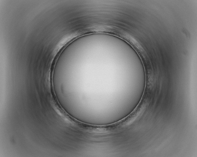 X0000113030986200909101854