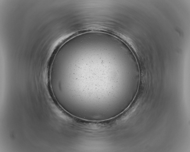 X0000113030987200909101854