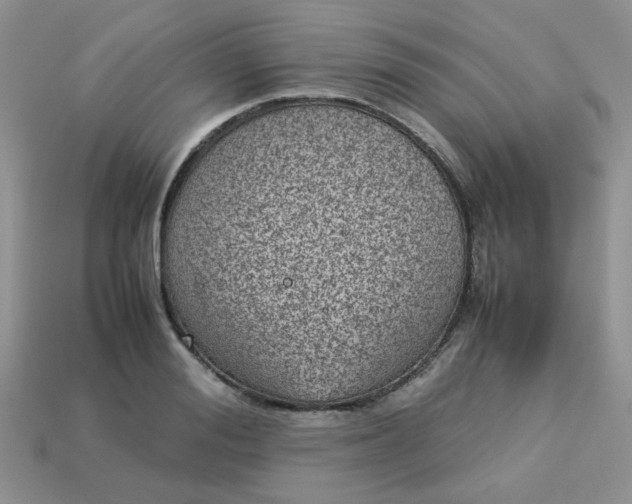 X0000113030988200909101854