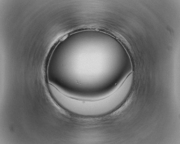 X0000113030989200909101854