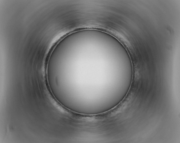 X0000113030990200909101854