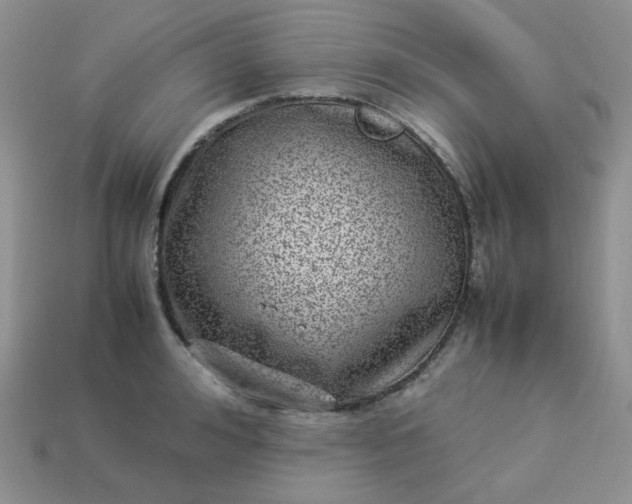 X0000113030992200909101854