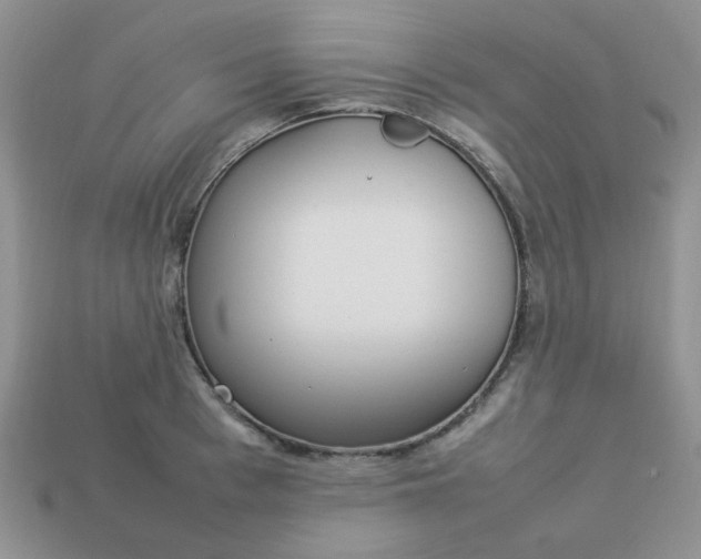 X0000113030993200909101854